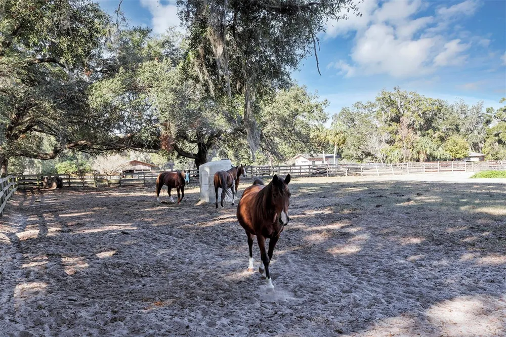 208 NE 70TH STREET ocala, FL 34479