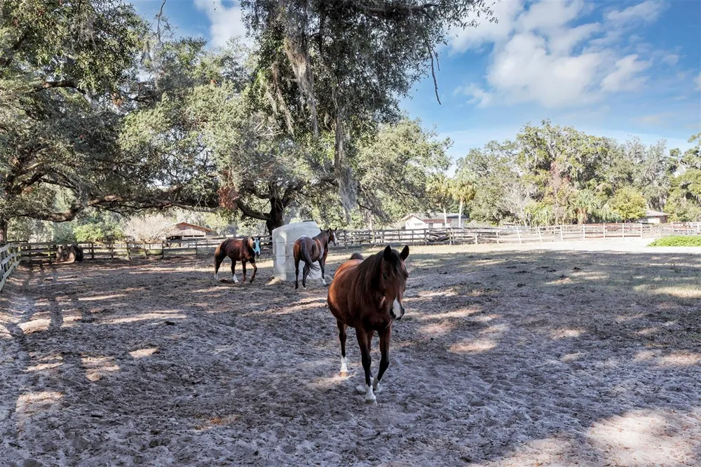 208 NE 70TH STREET ocala, FL 34479