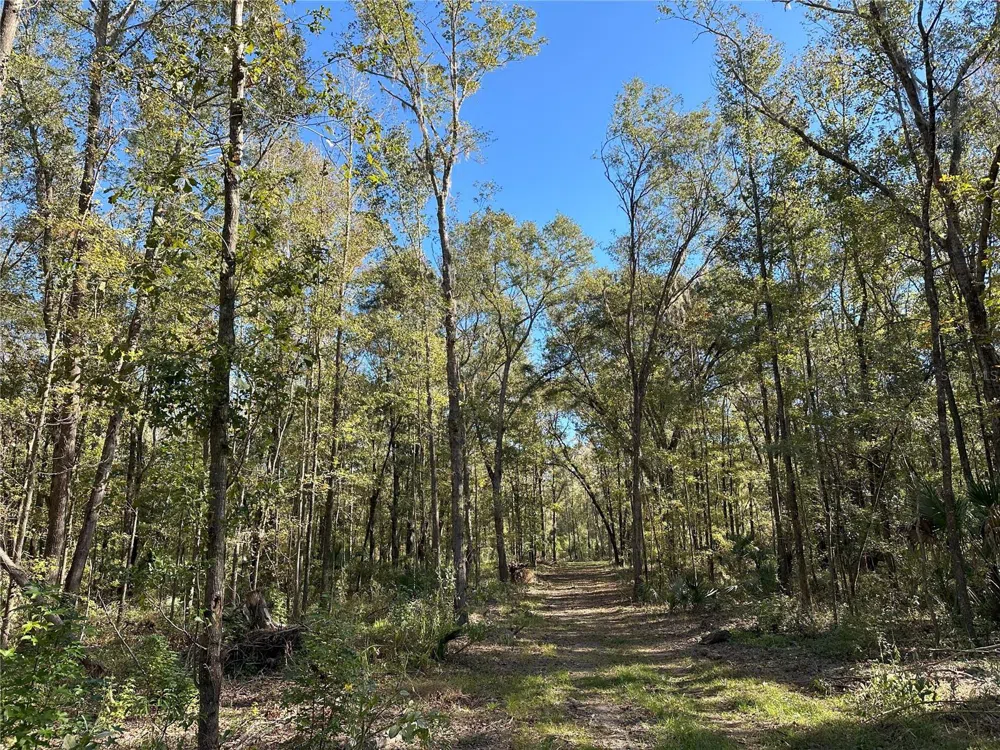 55ac W HWY 318 Reddick, FL 32686
