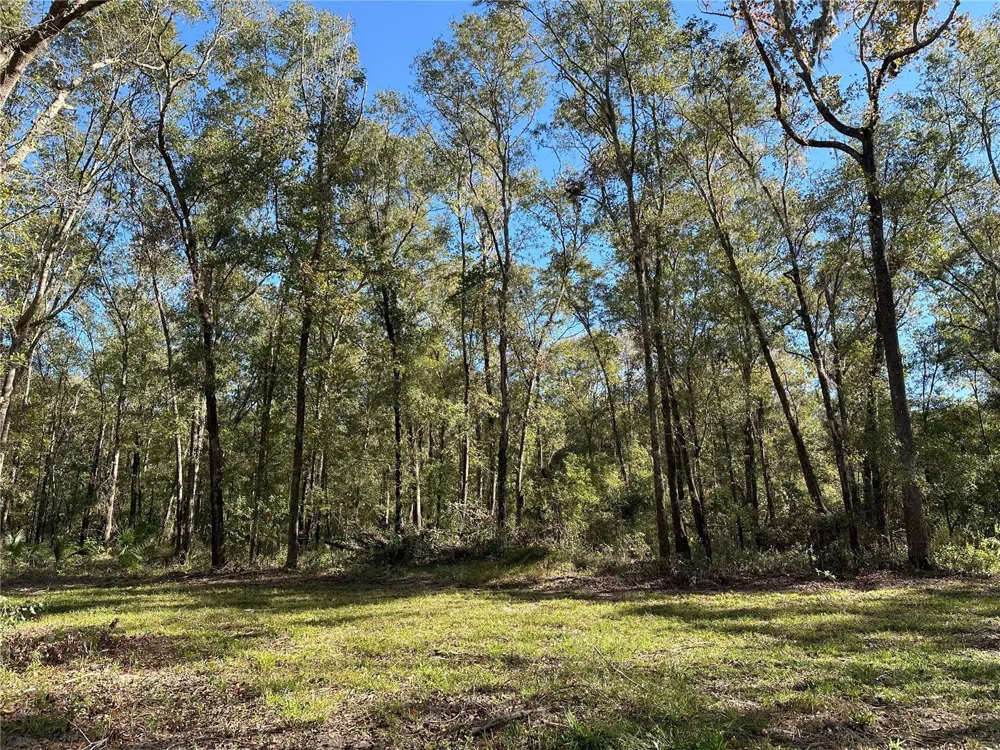 55ac W HWY 318 Reddick, FL 32686