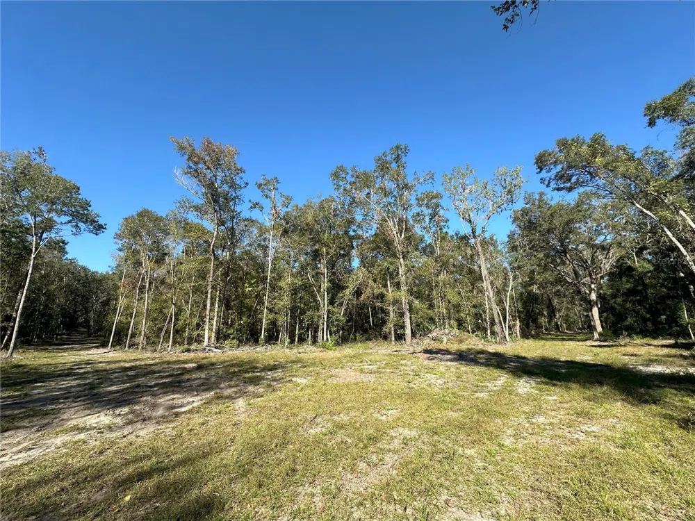 55ac W HWY 318 Reddick, FL 32686
