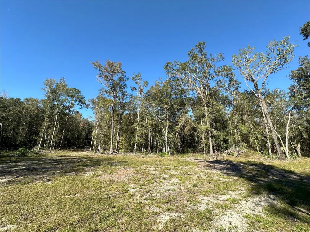 55ac W HWY 318 Reddick, FL 32686