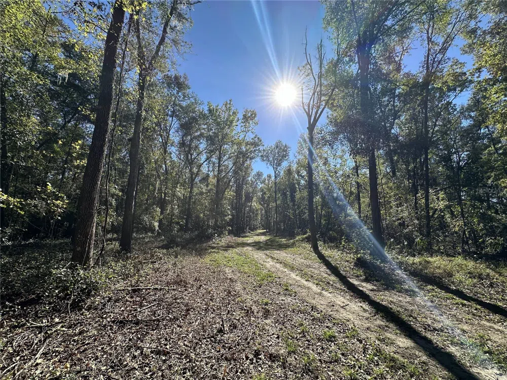 55ac W HWY 318 Reddick, FL 32686