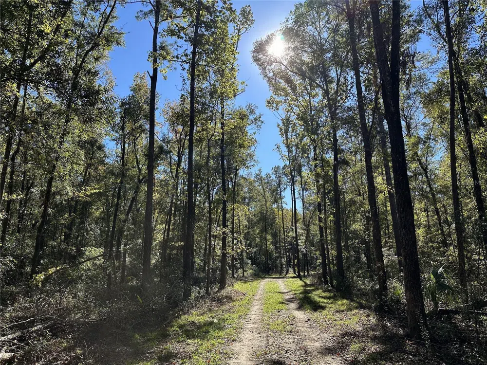 55ac W HWY 318 Reddick, FL 32686