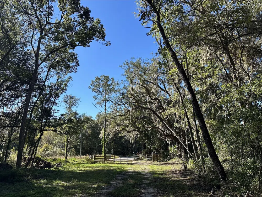 55ac W HWY 318 Reddick, FL 32686