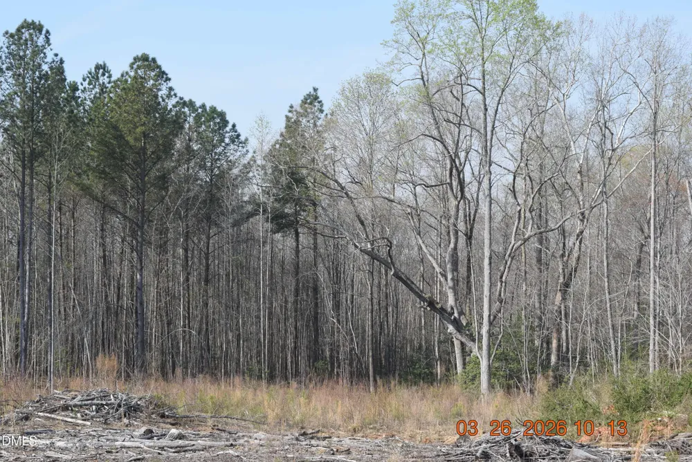 1080 Lickskillet Road Warrenton, NC 27589