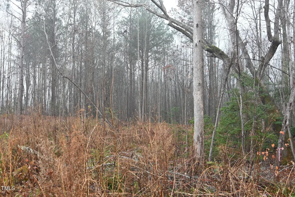 1080 Lickskillet Road Warrenton, NC 27589