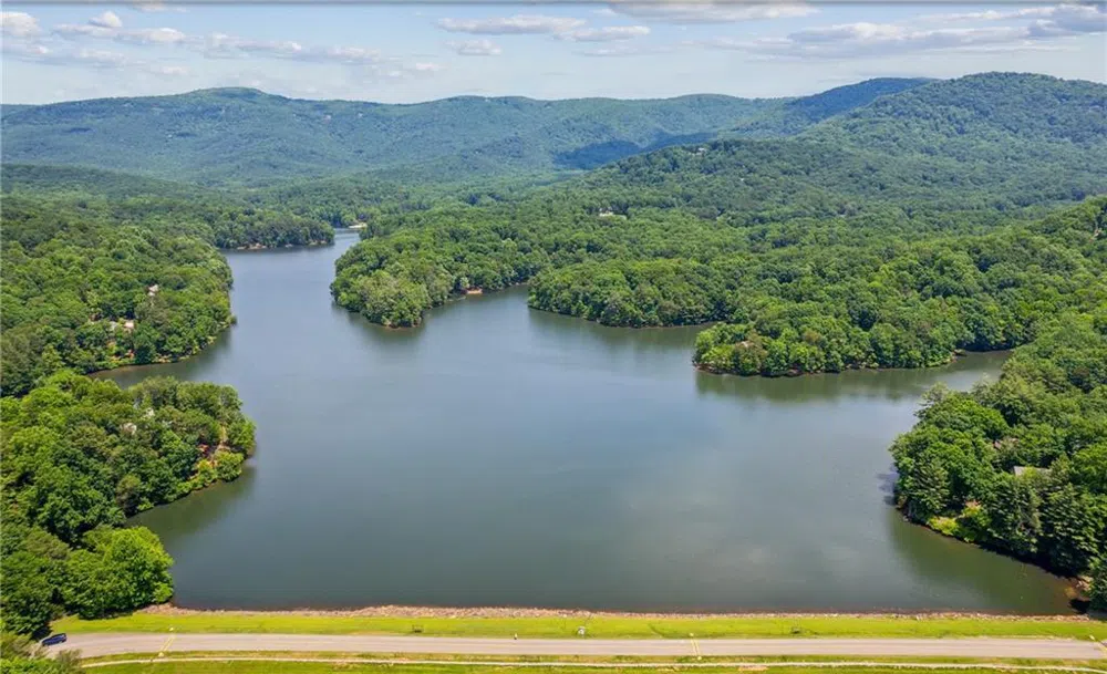 1323 Briar Vista Jasper, GA 30143