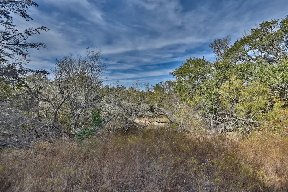 489 Fm 60 E Somerville, TX 77879