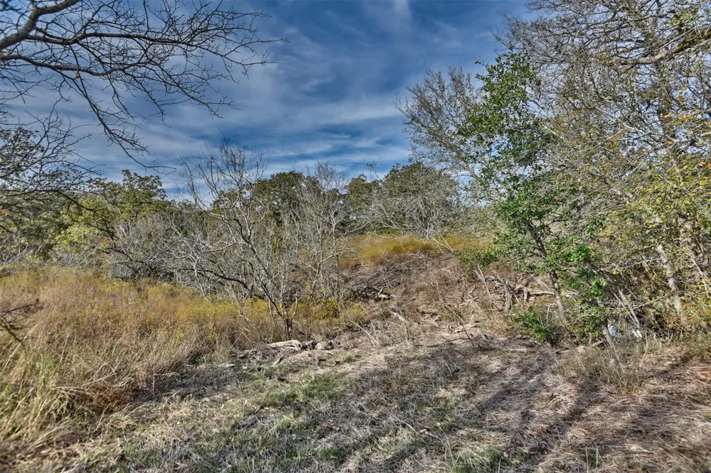 489 Fm 60 E Somerville, TX 77879