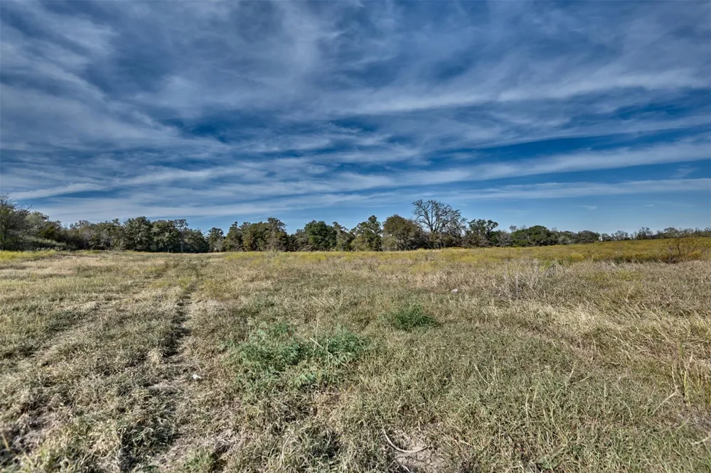489 Fm 60 E Somerville, TX 77879