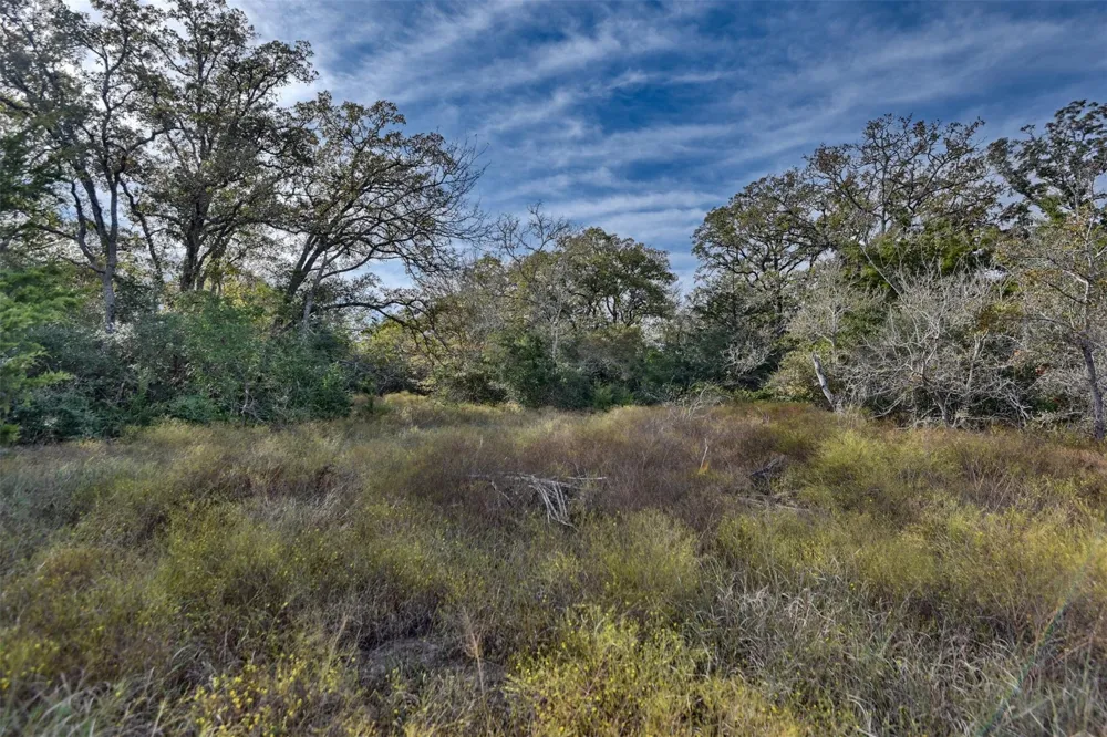 489 Fm 60 E Somerville, TX 77879