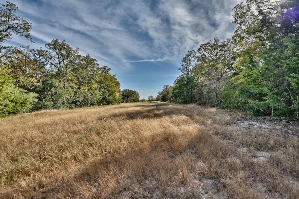 489 Fm 60 E Somerville, TX 77879