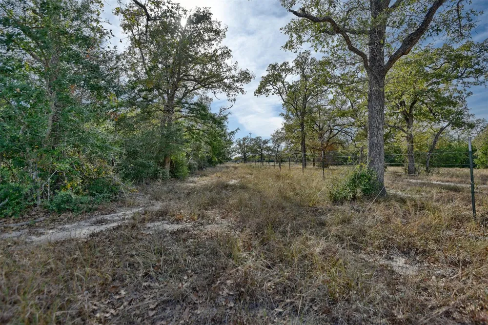 489 Fm 60 E Somerville, TX 77879