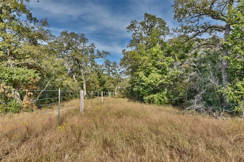 489 Fm 60 E Somerville, TX 77879