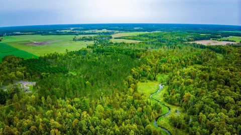 Lot 2 Blackduck Lake Road NE