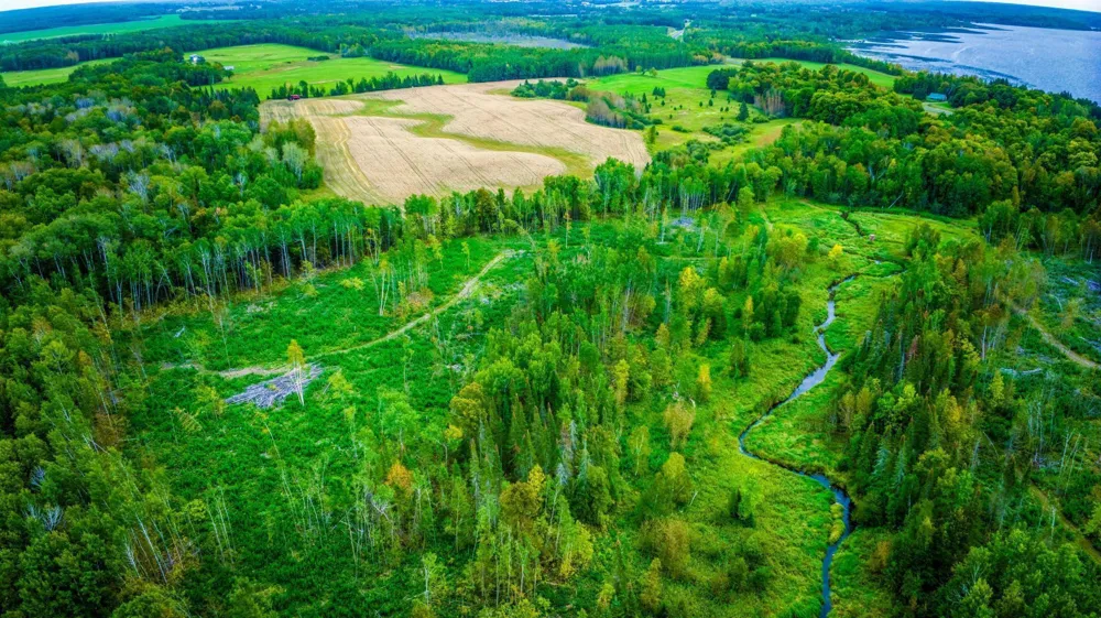 Lot 3 Blackduck Lake Road NE Hines, MN 56647