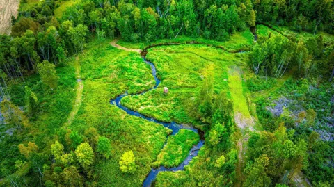 Lot 3 Blackduck Lake Road NE