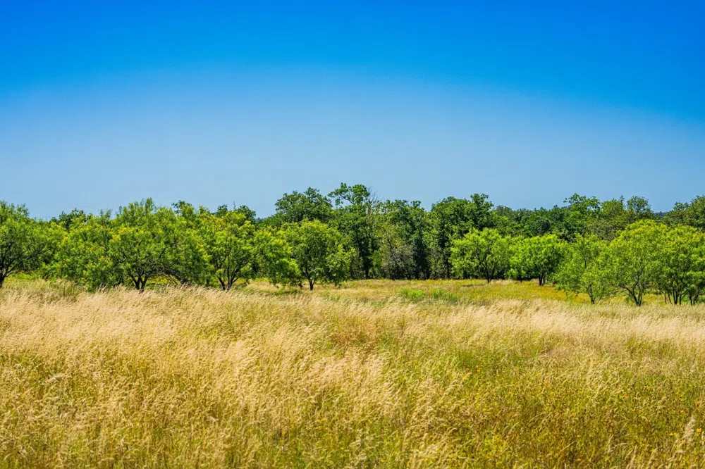 Ligon-Smith Lane Johnson City, TX 78636