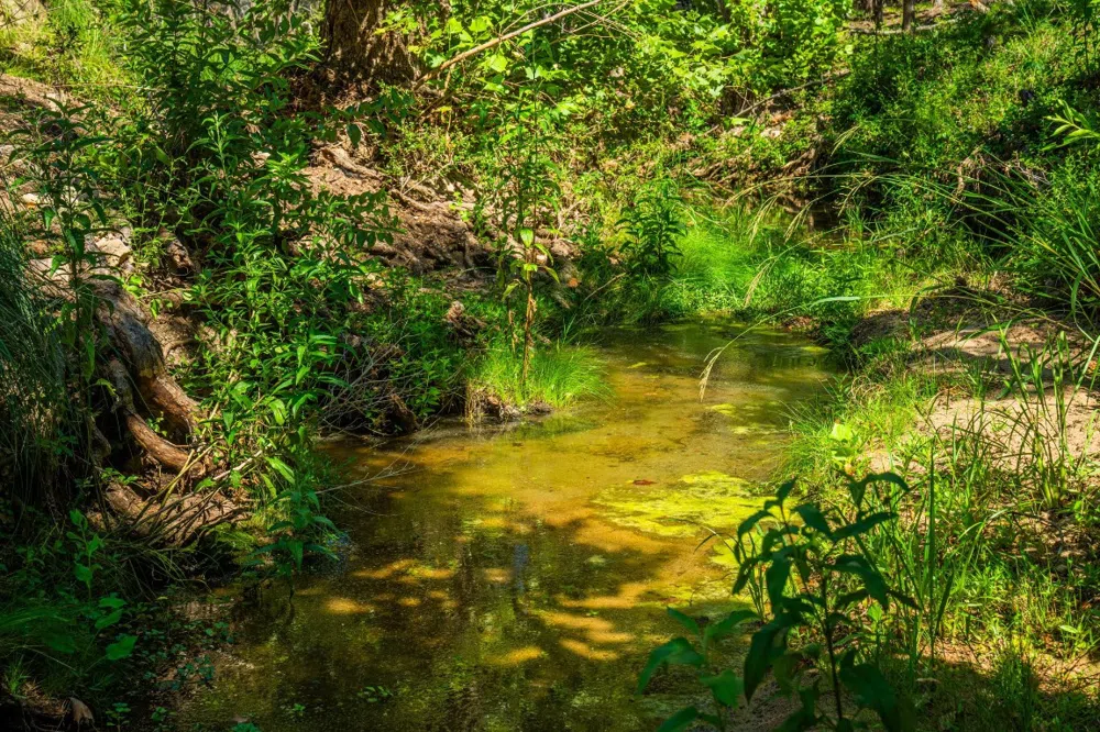 Ligon-Smith Lane Johnson City, TX 78636