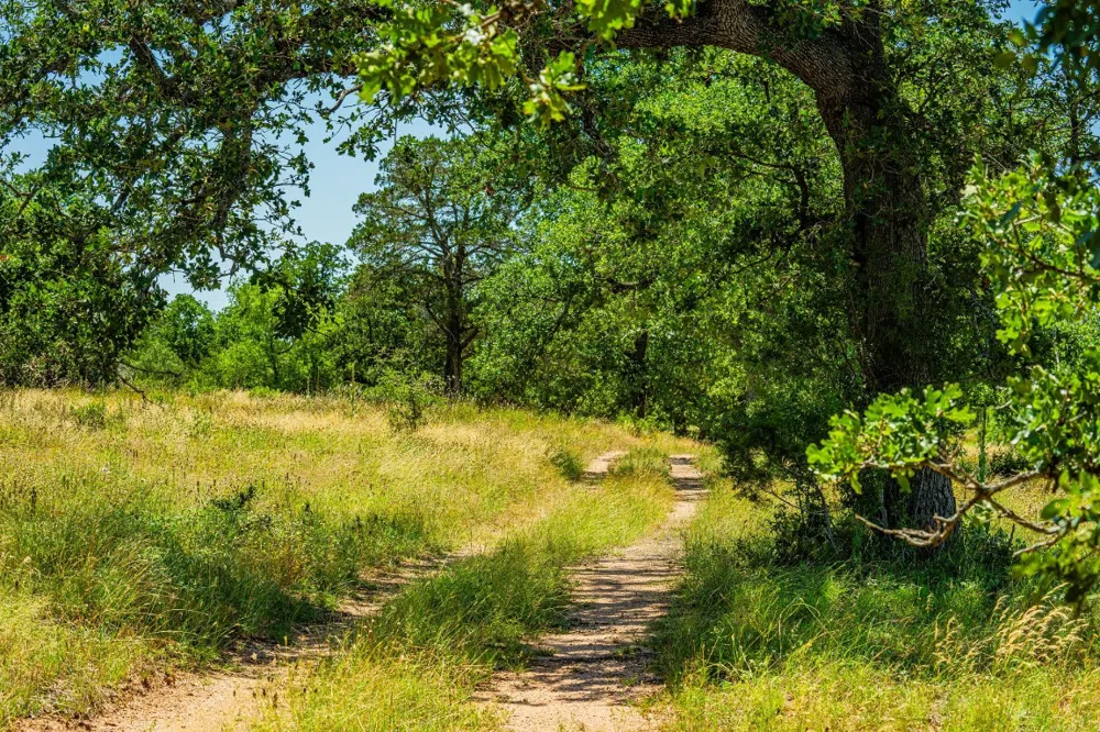 Ligon-Smith Lane Johnson City, TX 78636