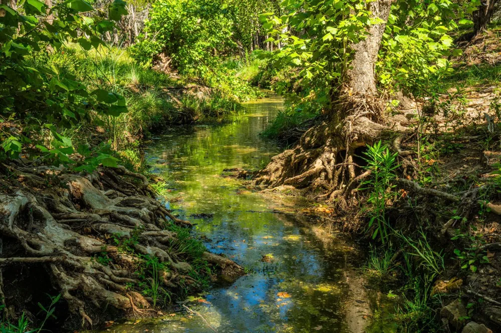 Ligon-Smith Lane Johnson City, TX 78636
