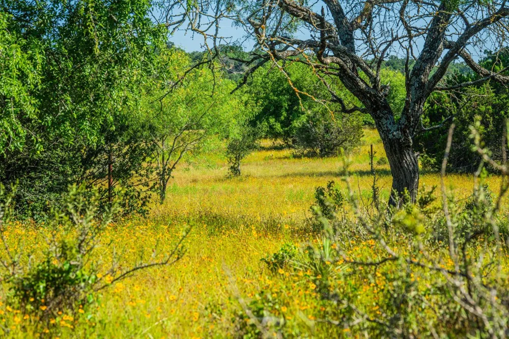 Ligon-Smith Lane Johnson City, TX 78636
