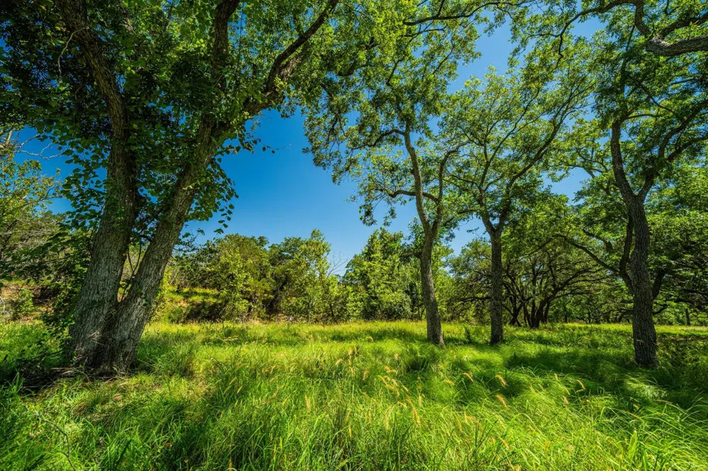 Ligon-Smith Lane Johnson City, TX 78636