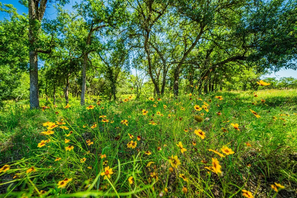 Ligon-Smith Lane Johnson City, TX 78636
