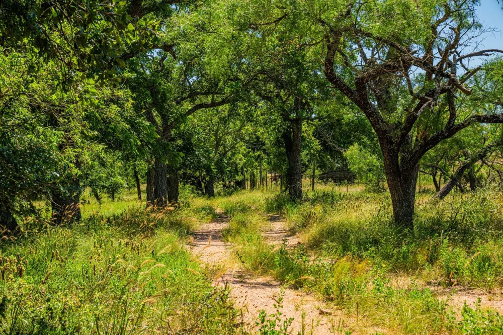 Ligon-Smith Lane Johnson City, TX 78636
