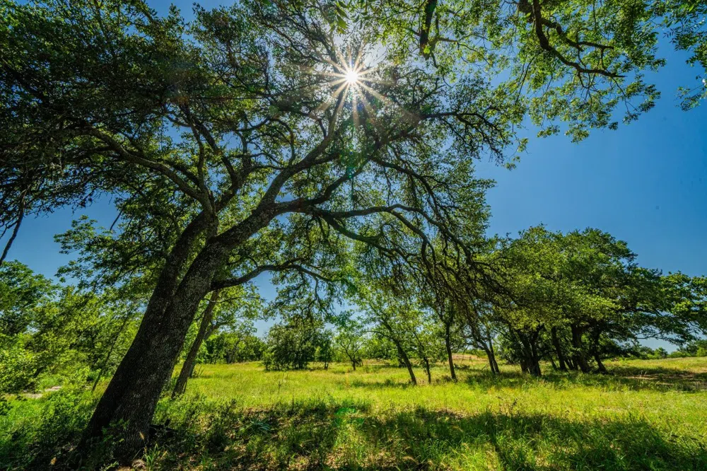Ligon-Smith Lane Johnson City, TX 78636