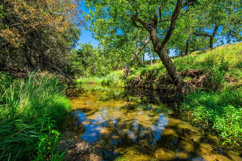Ligon-Smith Lane Johnson City, TX 78636
