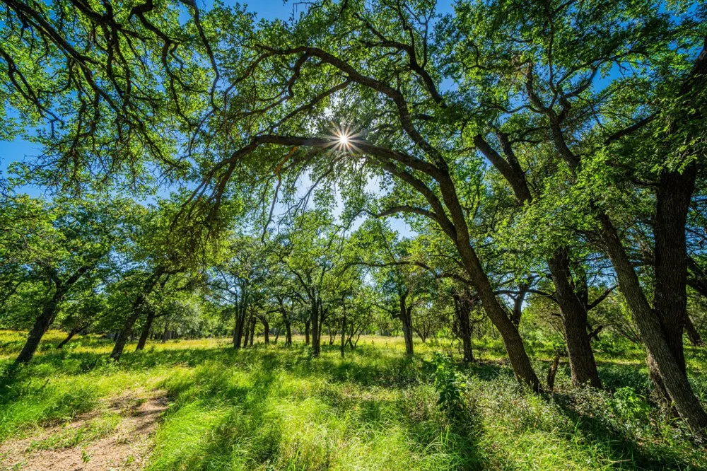 Ligon-Smith Lane Johnson City, TX 78636