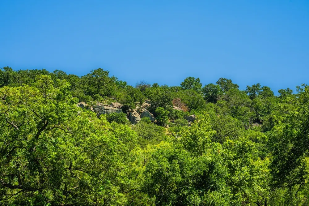 Ligon-Smith Lane Johnson City, TX 78636