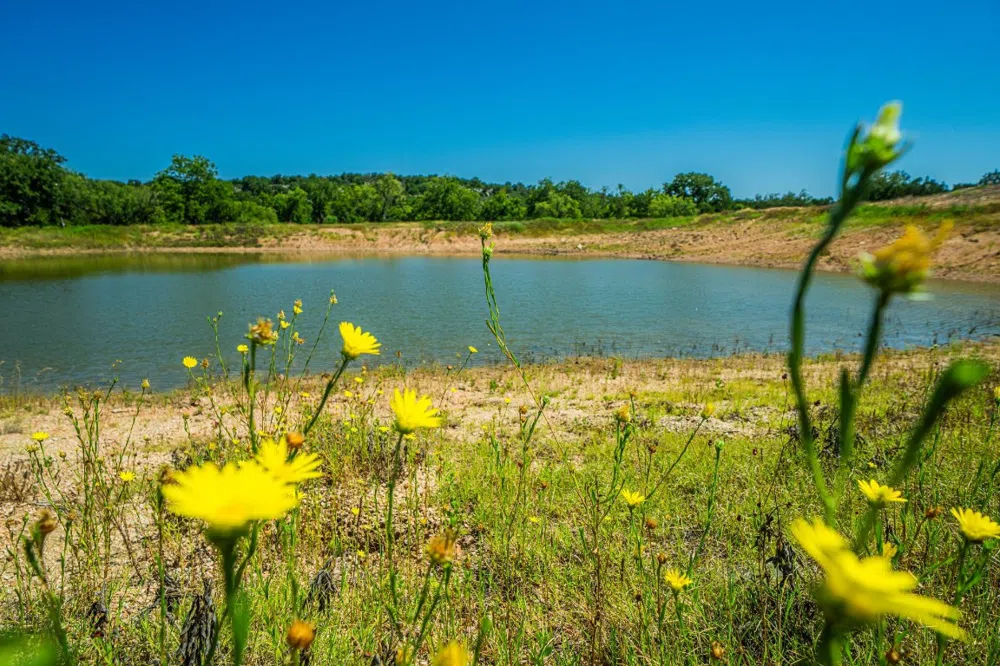 Ligon-Smith Lane Johnson City, TX 78636