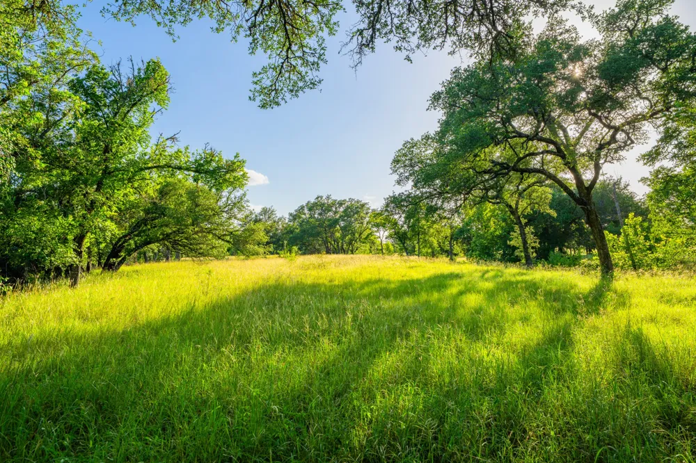 Ligon-Smith Lane Johnson City, TX 78636