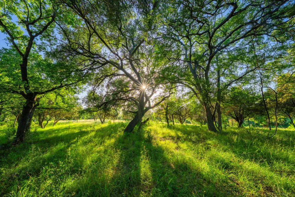Ligon-Smith Lane Johnson City, TX 78636