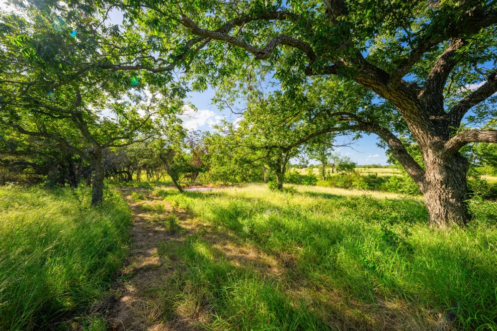 Ligon-Smith Lane Johnson City, TX 78636