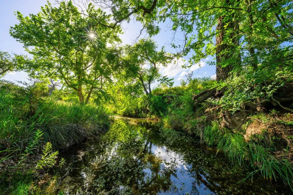 Ligon-Smith Lane Johnson City, TX 78636