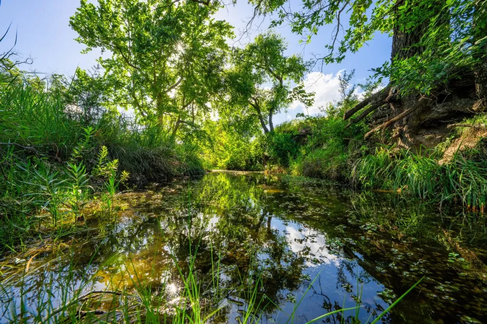 Ligon-Smith Lane Johnson City, TX 78636