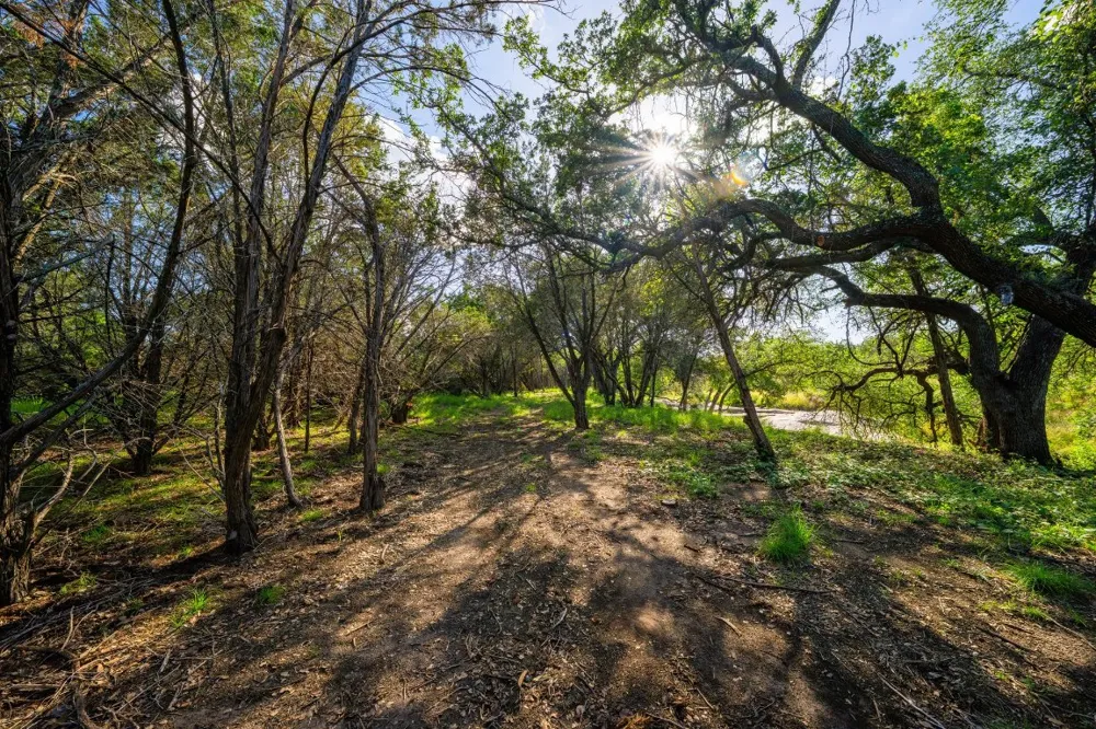 Ligon-Smith Lane Johnson City, TX 78636