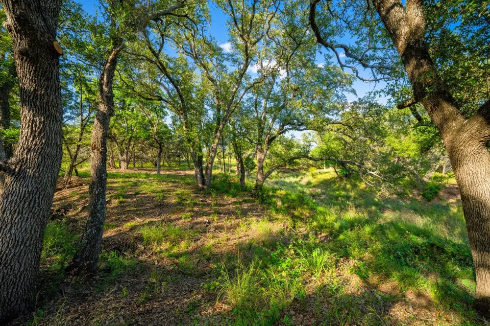 Ligon-Smith Lane Johnson City, TX 78636