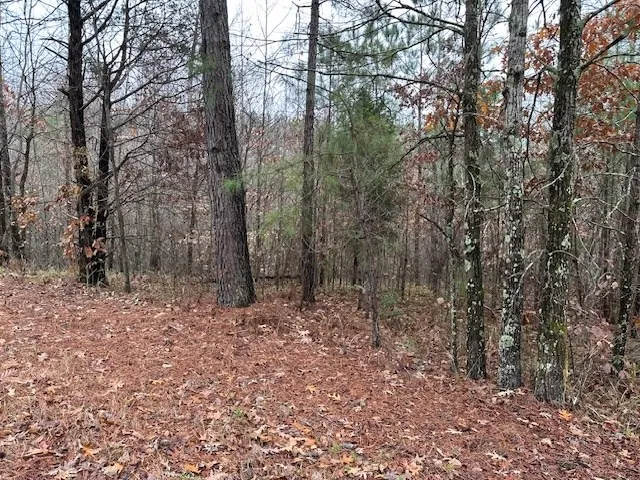 0 Sawyers Mill Rd Camden, TN 38320
