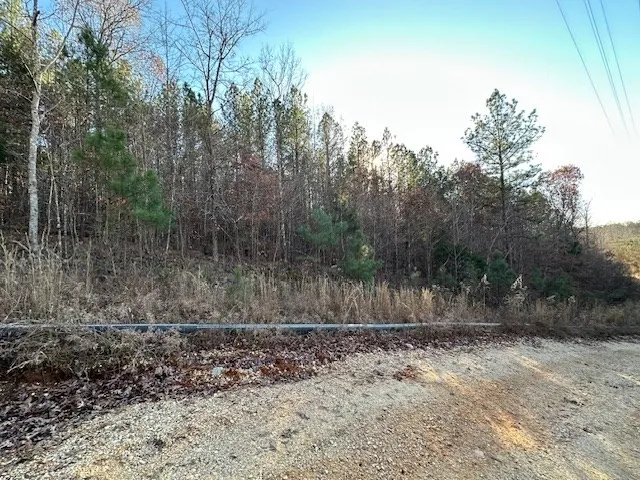 0 Sawyers Mill Rd Camden, TN 38320