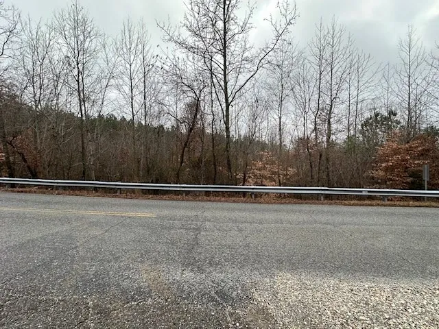 0 Sawyers Mill Rd Camden, TN 38320