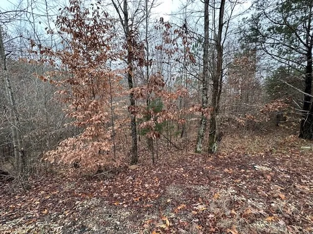 0 Sawyers Mill Rd Camden, TN 38320