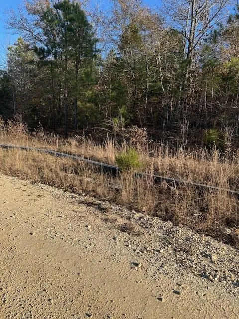 0 Sawyers Mill Rd Camden, TN 38320