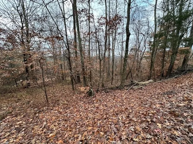 0 Sawyers Mill Rd Camden, TN 38320
