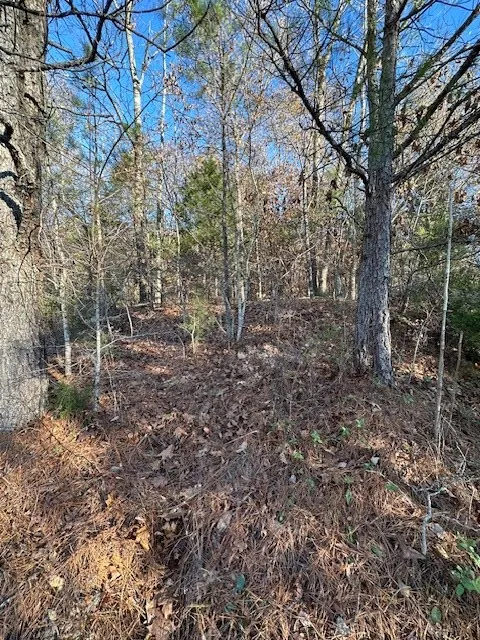 0 Sawyers Mill Rd Camden, TN 38320