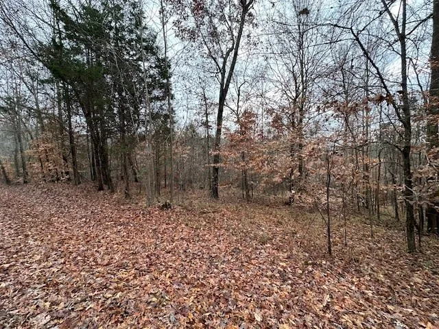 0 Sawyers Mill Rd Camden, TN 38320